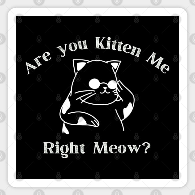 Are you kitten me right meow Sticker by StarWheel